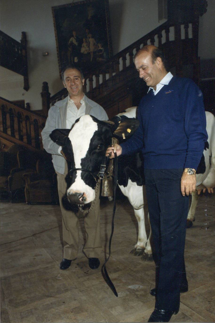 1987. Juan Hormaechea y Vicente de la Hera protagonizaron en 1987 un gesto simbólico de apoyo a la ganadería del futuro. Ambos candidatos llevaron una vaca de alta cualificación al Palacio de la Magdalena, acción con la que quisieron demostrar "el acercamiento de la capital cántabra al mundo rural".