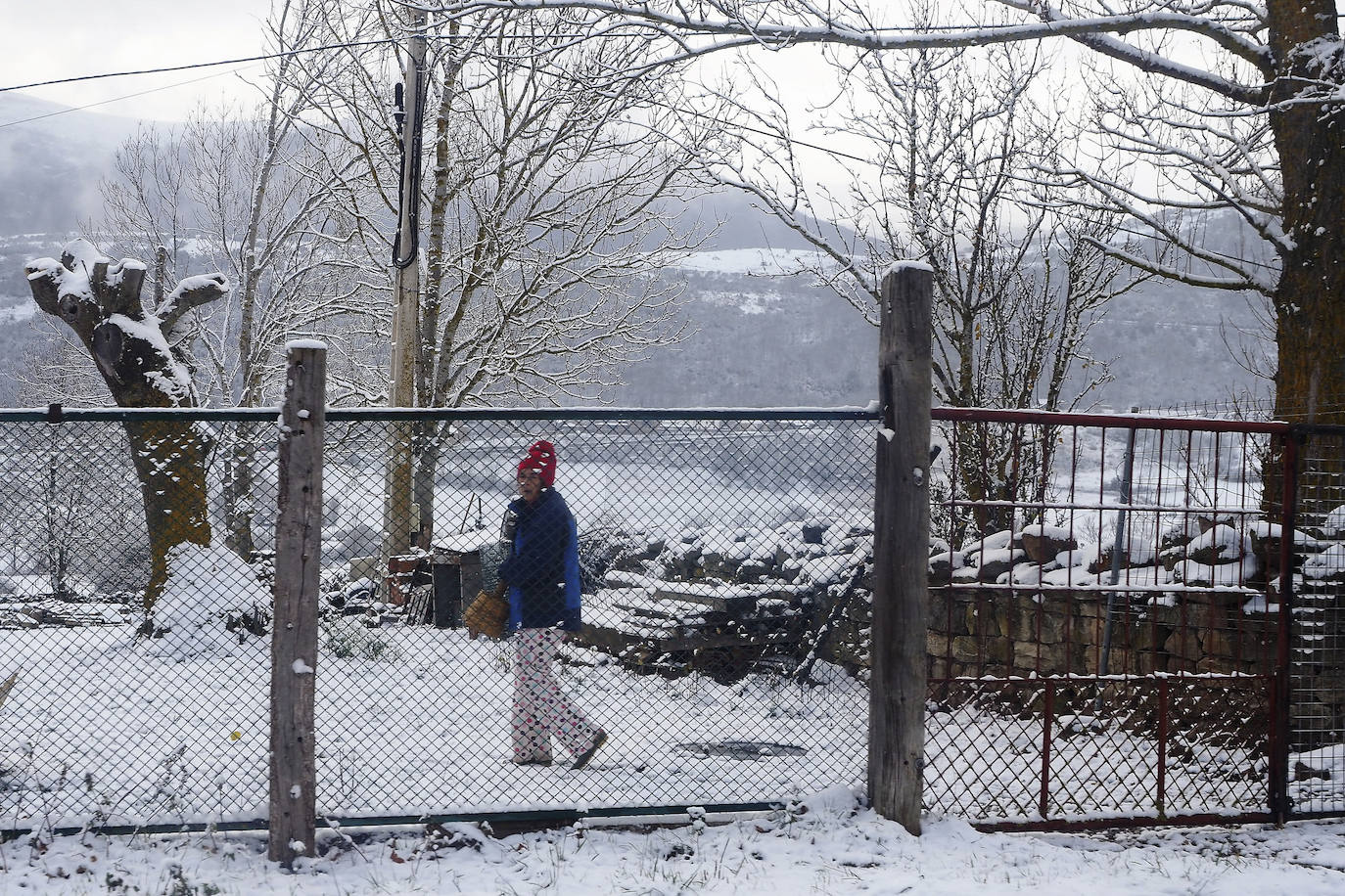 Fotos: La nieve cubre Campoo