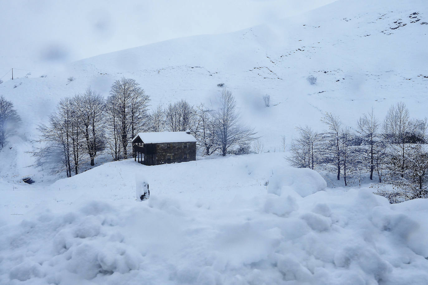 Fotos: La nieve cubre Campoo