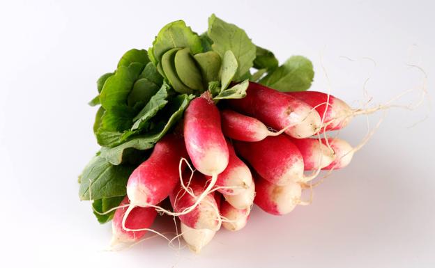 Come rabanitos rojos como aperitivo para sentir saciedad y comer menos 