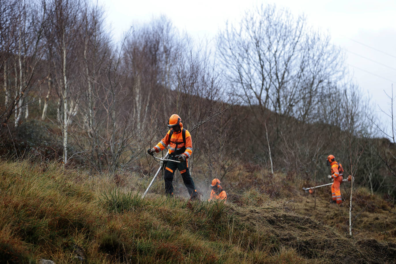 La Consejería de Desarrollo Rural reconoce la labor de los bomberos forestales, «que realizan tareas muy diversas»