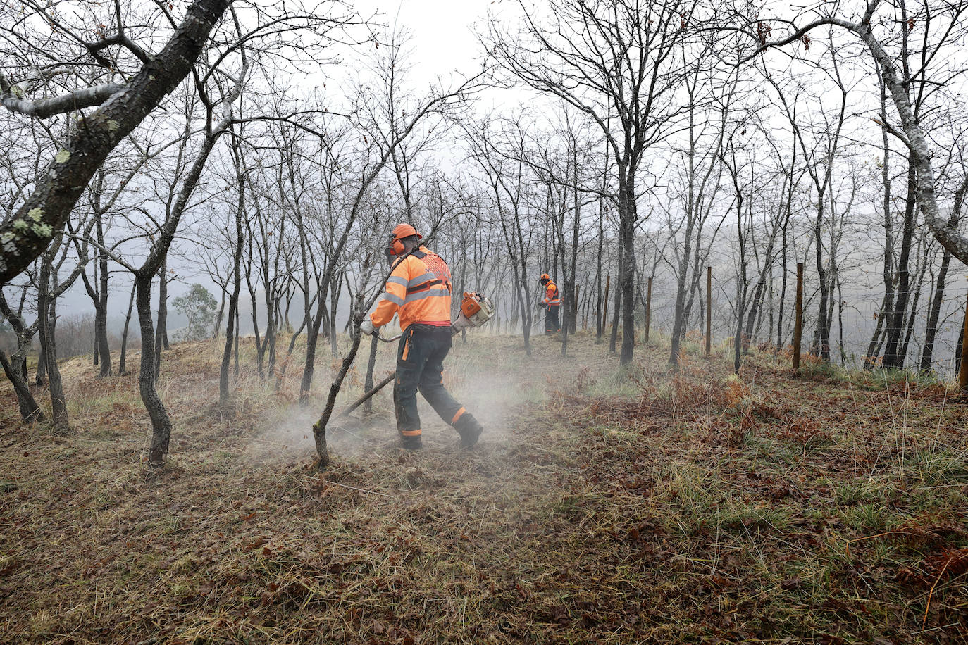 La Consejería de Desarrollo Rural reconoce la labor de los bomberos forestales, «que realizan tareas muy diversas»