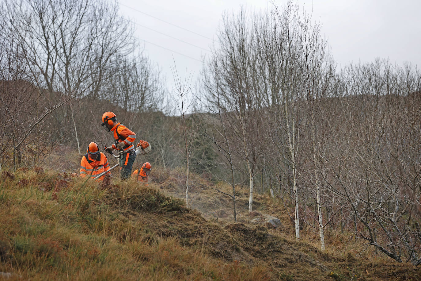 La Consejería de Desarrollo Rural reconoce la labor de los bomberos forestales, «que realizan tareas muy diversas»