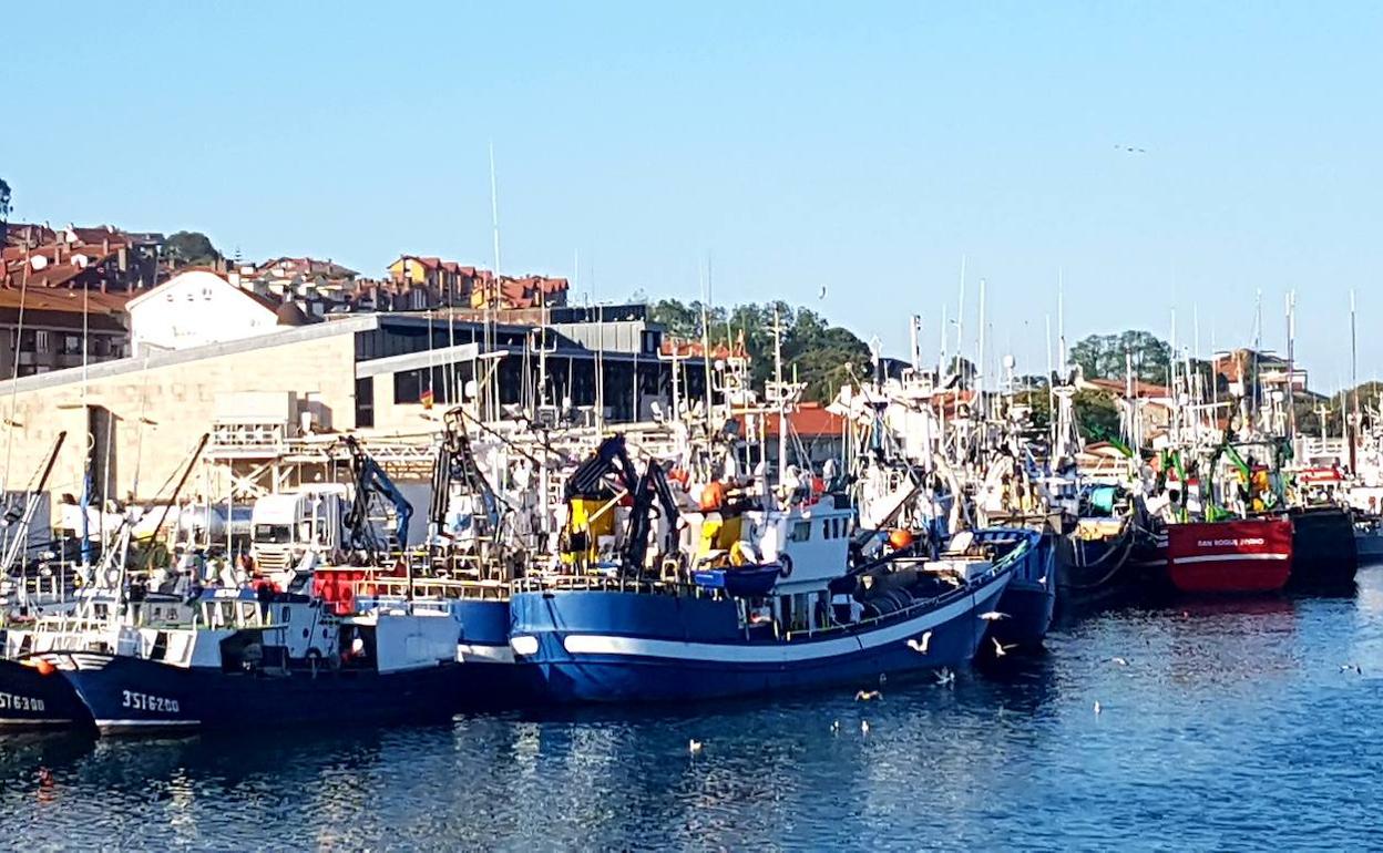 El puerto de San Vicente de la Barquera, en plena actividad durante la pasada costera del bocarte.