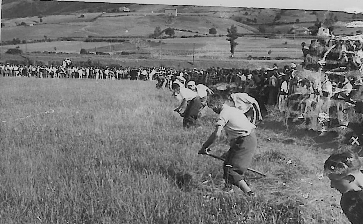 Concurso de siega en los barrios rurales de Laredo. 