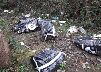 Imagen secundaria 1 - Residuos en El Vallegón. 