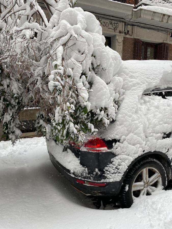 Un árbol caído sobre un coche en Madrid. 