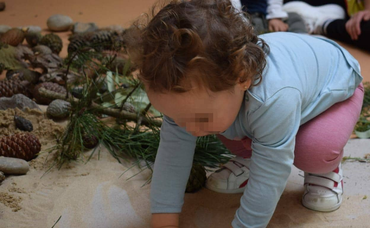 Proyecto Eco-escuelas de las guarderías-ludotecas municipales del Ayuntamiento de Piélagos.