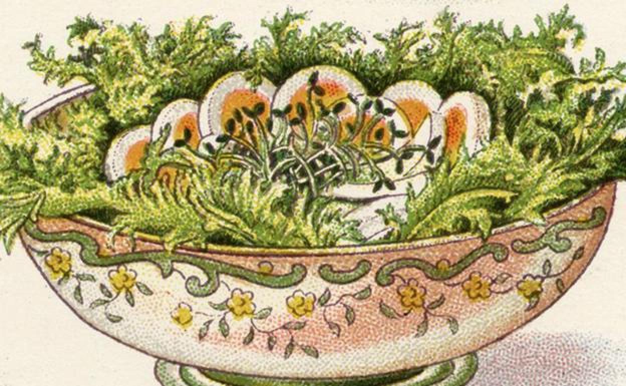 Ilustración de ensalada, recetario de cocina