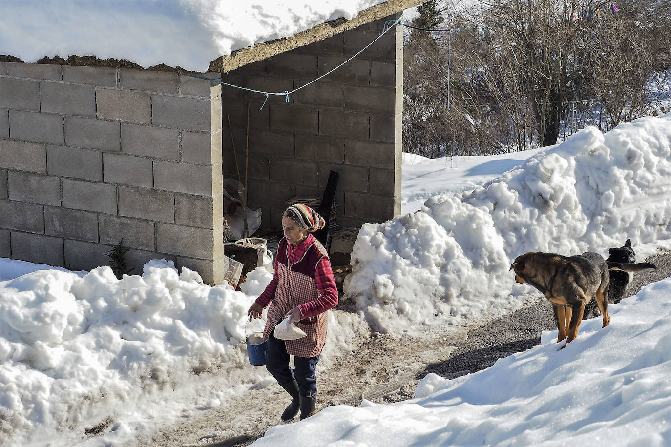 La nieve está complicando estos días la vida y las labores de los vecinos de San Roque de Riomiera. 