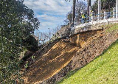 Imagen secundaria 1 - Rápel en la ladera de Reina Victoria para consolidar el movimiento de tierras