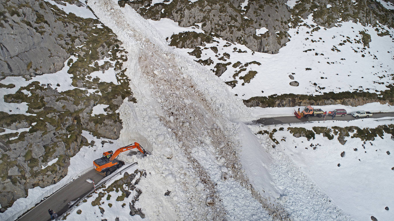 Un gran alud de nieve ha sepultado la carretera de acceso a Tresviso, dejando por ahora incomunicado, por carretera, el acceso a este pequeño municipio de Liébana, de 59 habitantes. En estos momentos, una empresa externa, por encargo del Ayuntamiento, está trabajando en despejar la carretera