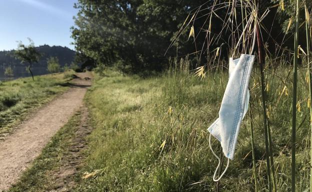 Una mascarilla tirada en el campo.