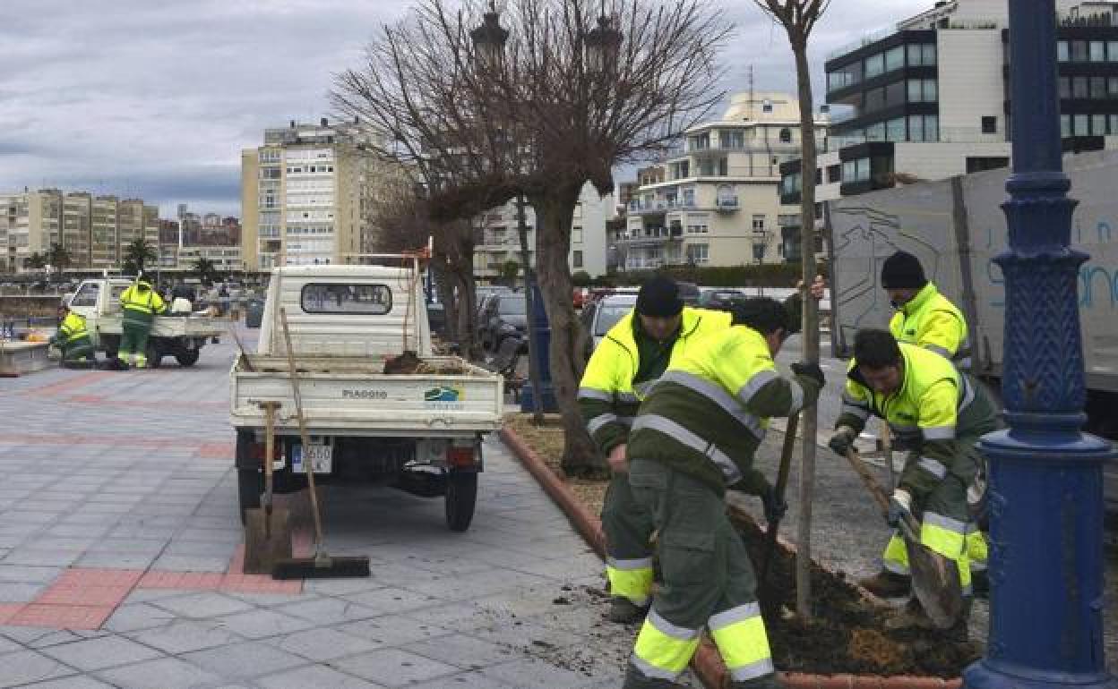 Operarios de Parques y Jardines trabajan en el parque infantil del Palacio de la Magdalena.