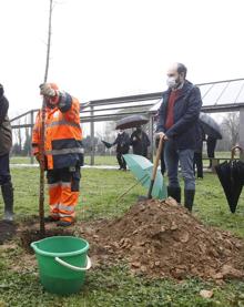 Imagen secundaria 2 - El Gobierno restaura el parque de La Viesca con la plantación de un millar de nuevos árboles autóctonos