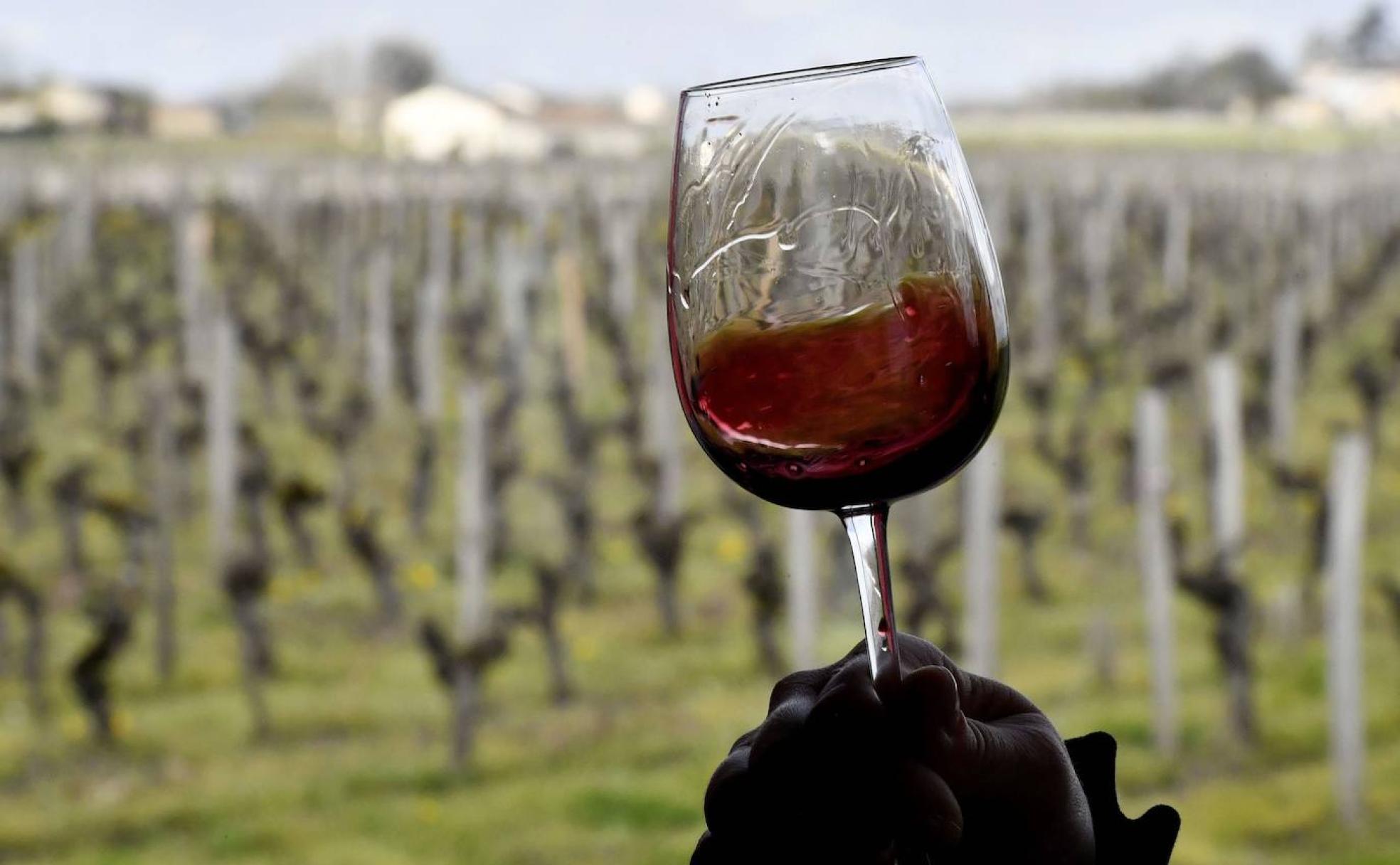 La historia y la cultura del vino se exponen por el planeta