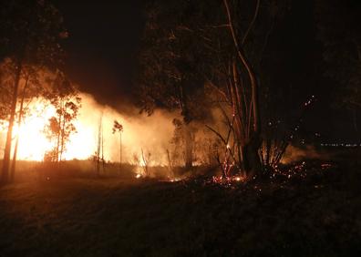 Imagen secundaria 1 - Desatado un aparatoso incendio en una zona de maleza del Golf de Pedreña