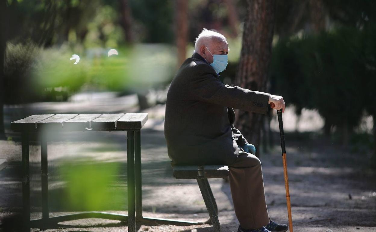 El PSOE propone proyectos para combatir la soledad no deseada de los santanderinos