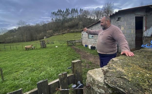 Juan Manuel Ortiz contempla desde el pueblo las ovejas muertas (al fondo). 