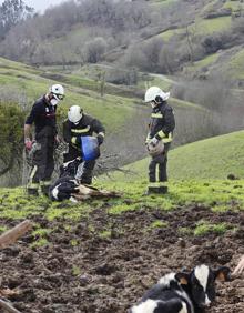 Imagen secundaria 2 - El fuerte viento derriba los tejados de las piscinas de Reinosa y de una cuadra llena de vacas en Cabezón, matando a dos