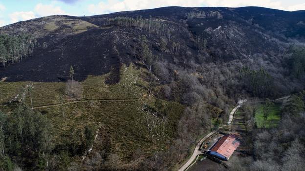 Desarrollo Rural contará en un mes con una nueva normativa de quemas controladas