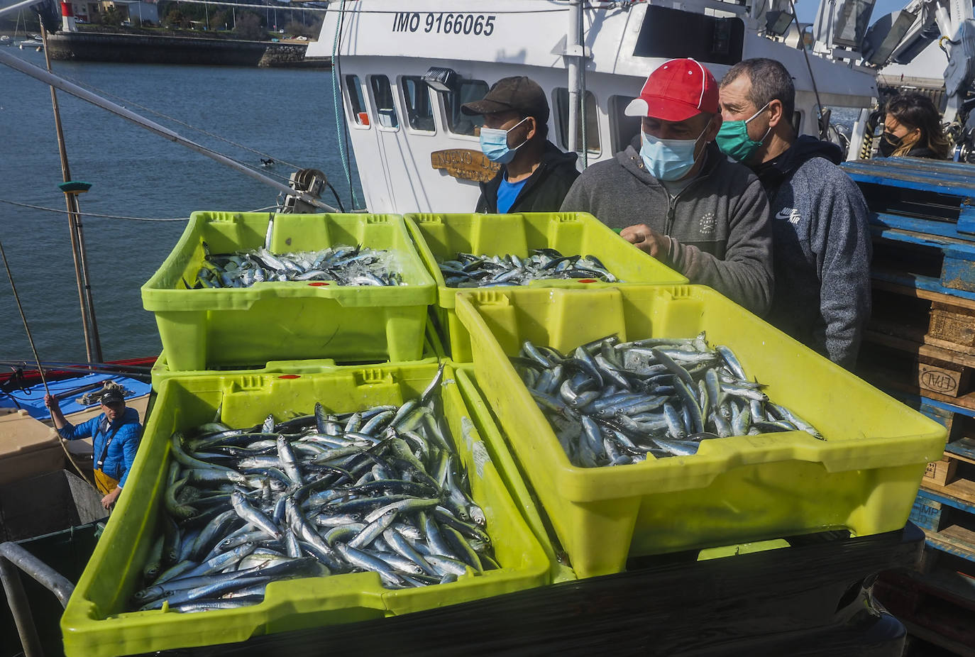 Fotos: Tiempo de pesca