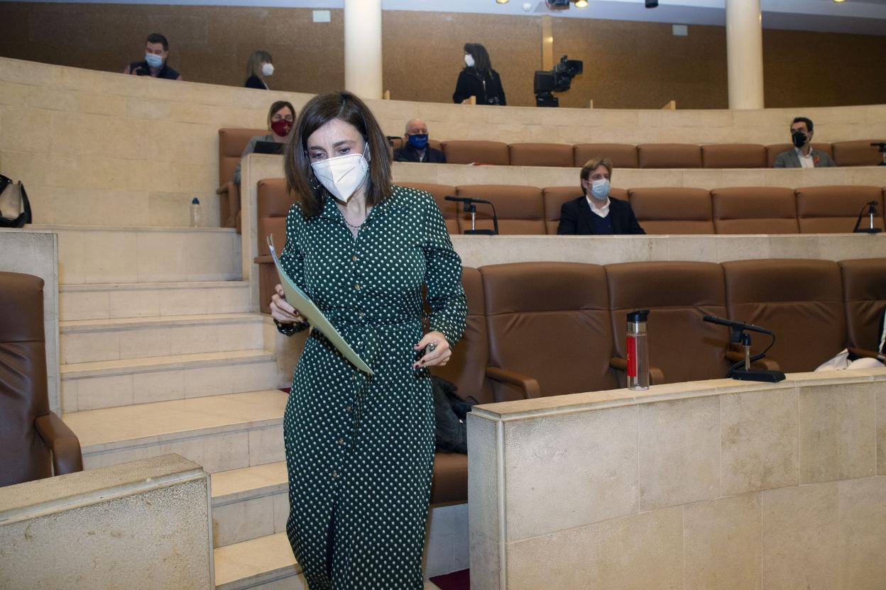 Fernández, en el Parlamento. 