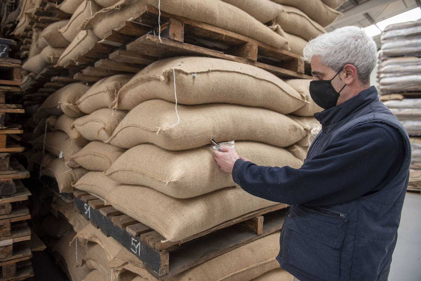 La materia prima pasa controles de calidad. Extracción de granos de un saco.