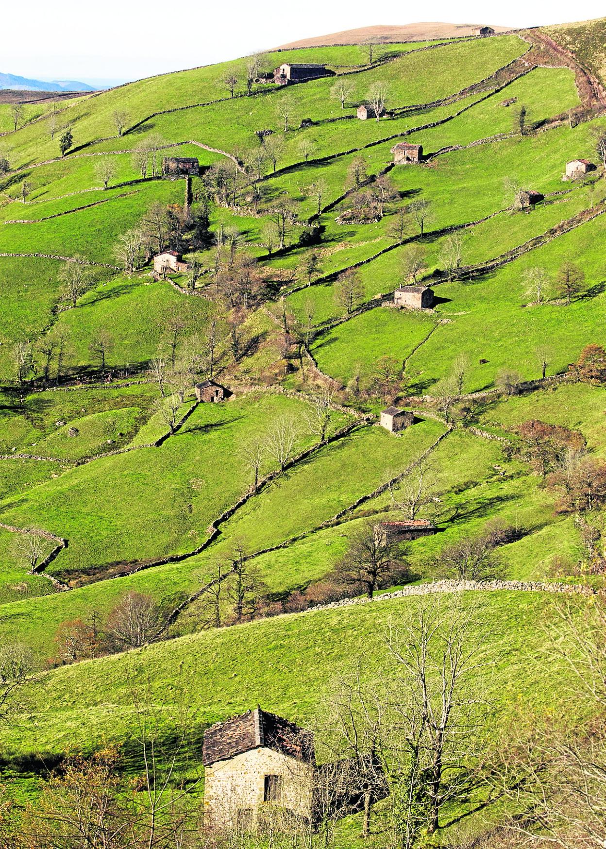 Cabañas pasiegas en Selaya donde el alcalde opina que los molinos serían el fin del turismo. 