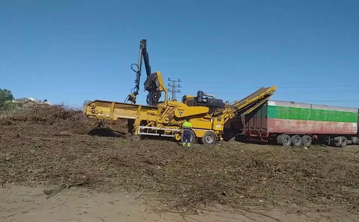 Trabajos de recogida de restos de podas en Sámano.