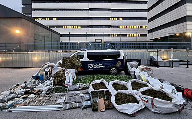 Desmantelada una sofisticada plantación de marihuana en Camargo