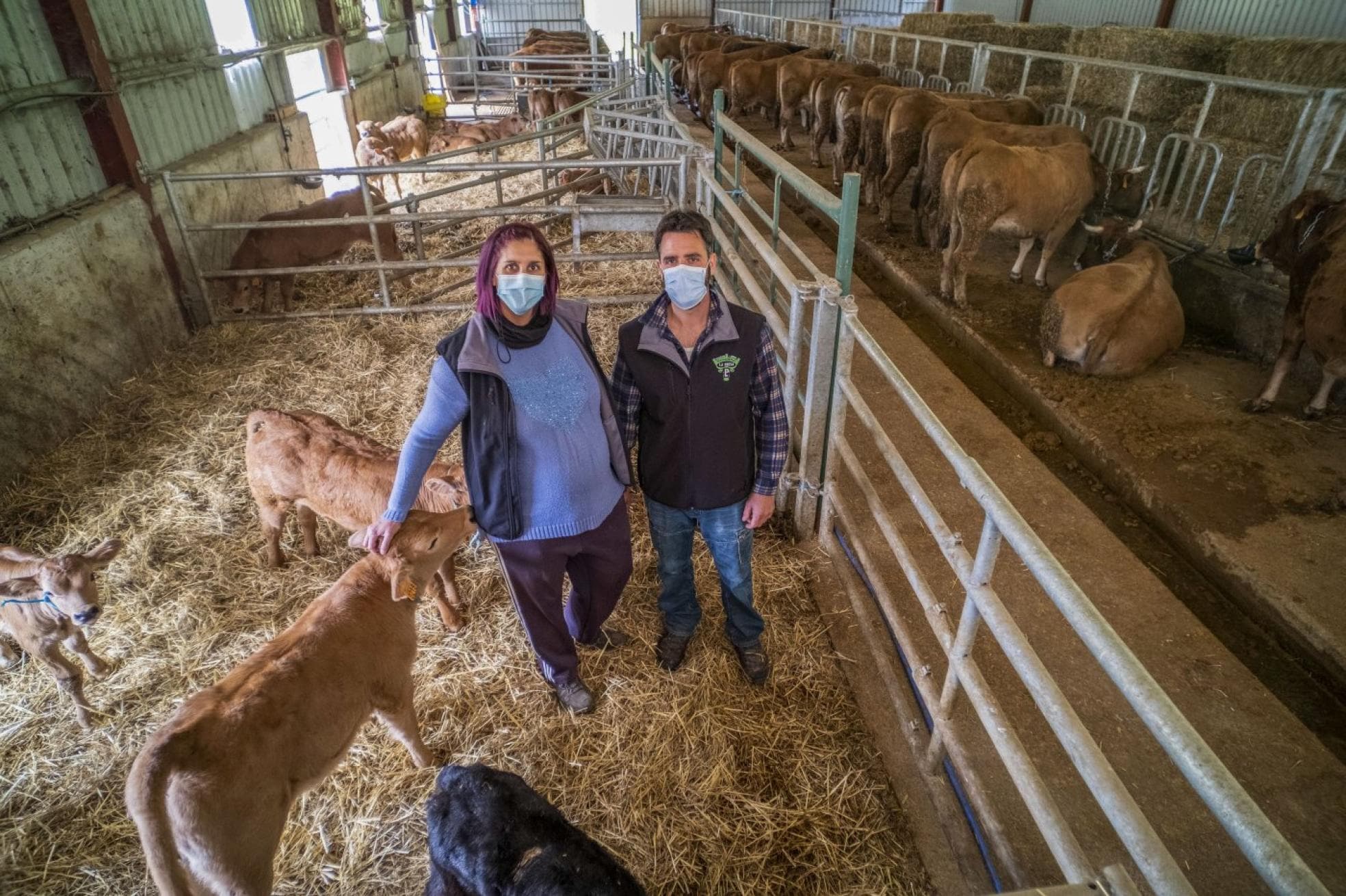 Soba, un paraíso para las vacas | El Diario Montañés