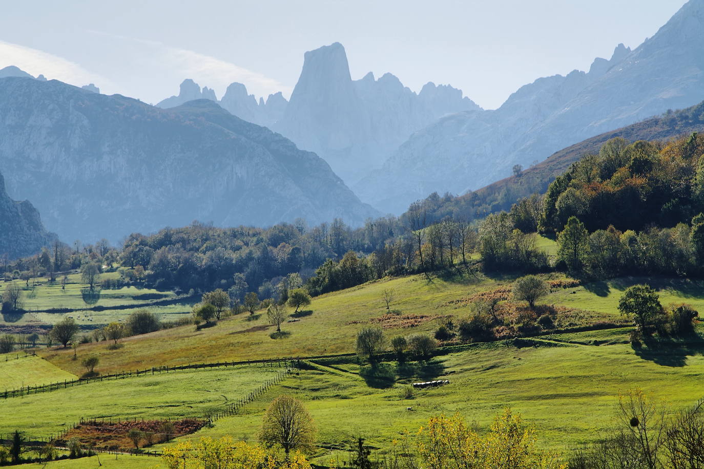 Pico calcáreo situado en el Macizo de los Urrieles en los Picos de Europa. Administrativamente se encuentra situado en el concejo asturiano de Cabrales y dentro del parque nacional de Picos de Europa. Tiene una altitud de 2519 metros y, aunque no es el pico más alto de la Cordillera Cantábrica, es uno de sus montes más conocidos. Es una de las cumbres emblemáticas de España para la escalada por sus grandes paredes, especialmente por los 550 metros de pared vertical de su cara Oeste. En su base se encuentra la Vega de Urriellu, un valle de origen glaciar cuaternario.