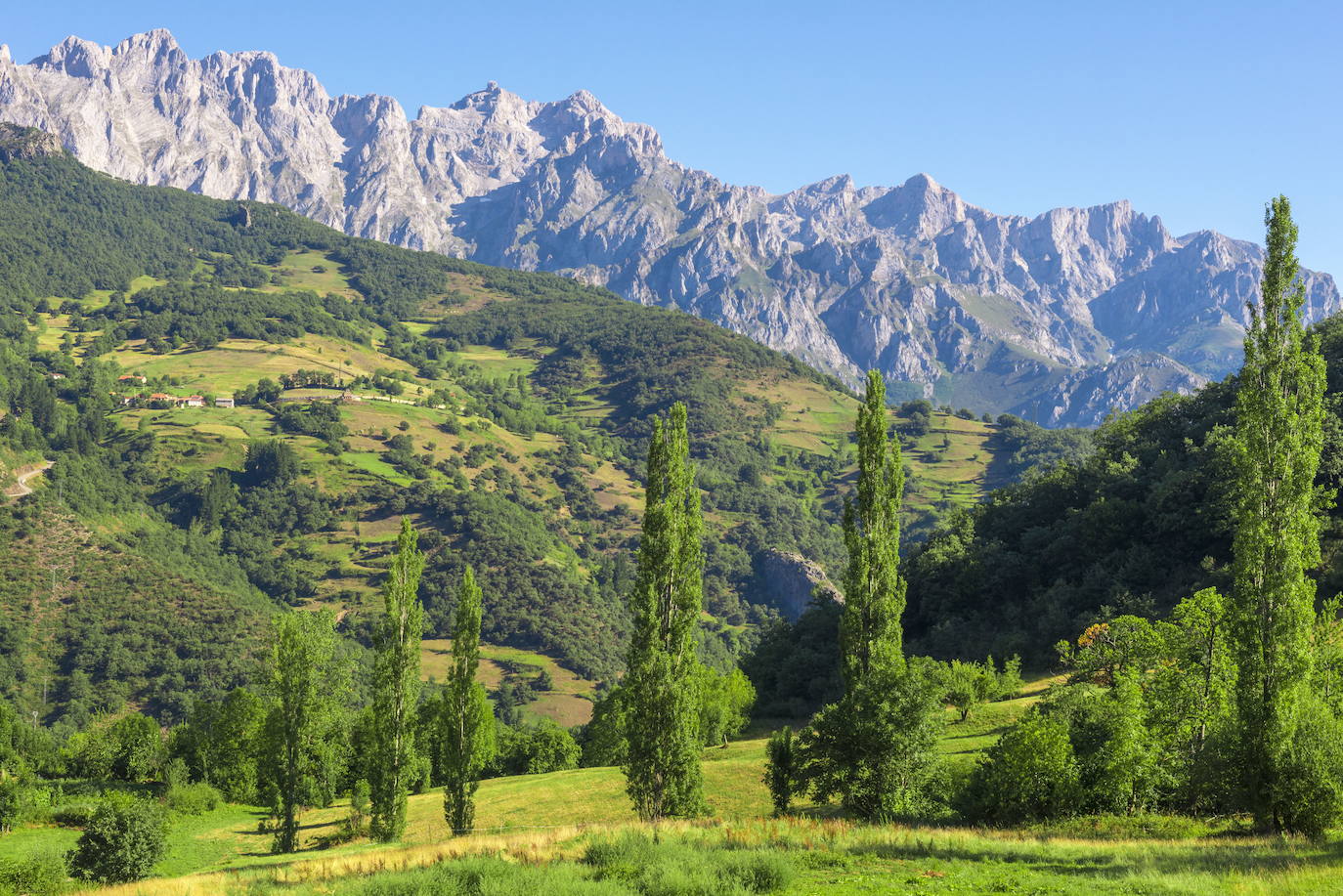 Pico calcáreo situado en el Macizo de los Urrieles en los Picos de Europa. Administrativamente se encuentra situado en el concejo asturiano de Cabrales y dentro del parque nacional de Picos de Europa. Tiene una altitud de 2519 metros y, aunque no es el pico más alto de la Cordillera Cantábrica, es uno de sus montes más conocidos. Es una de las cumbres emblemáticas de España para la escalada por sus grandes paredes, especialmente por los 550 metros de pared vertical de su cara Oeste. En su base se encuentra la Vega de Urriellu, un valle de origen glaciar cuaternario.