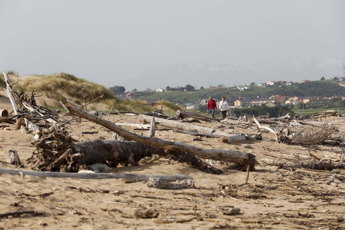 El Consistorio, a petición del Parque Natural de las Dunas de Liencres, actúa en los accesos tras la gran pérdida de arena a causa de las mareas vivas