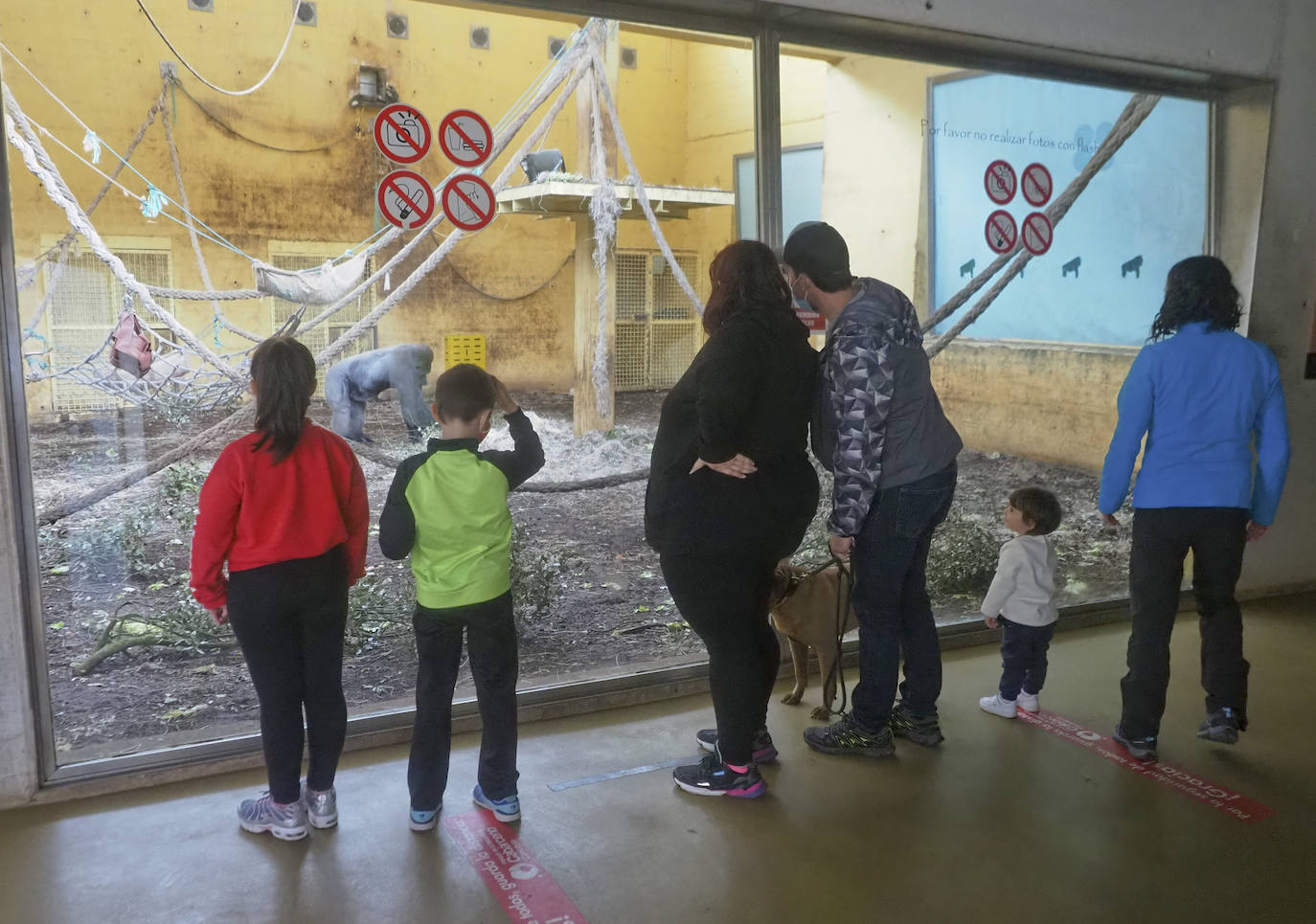 Fotos: Un Parque de Cabárceno desangelado en plena Semana Santa