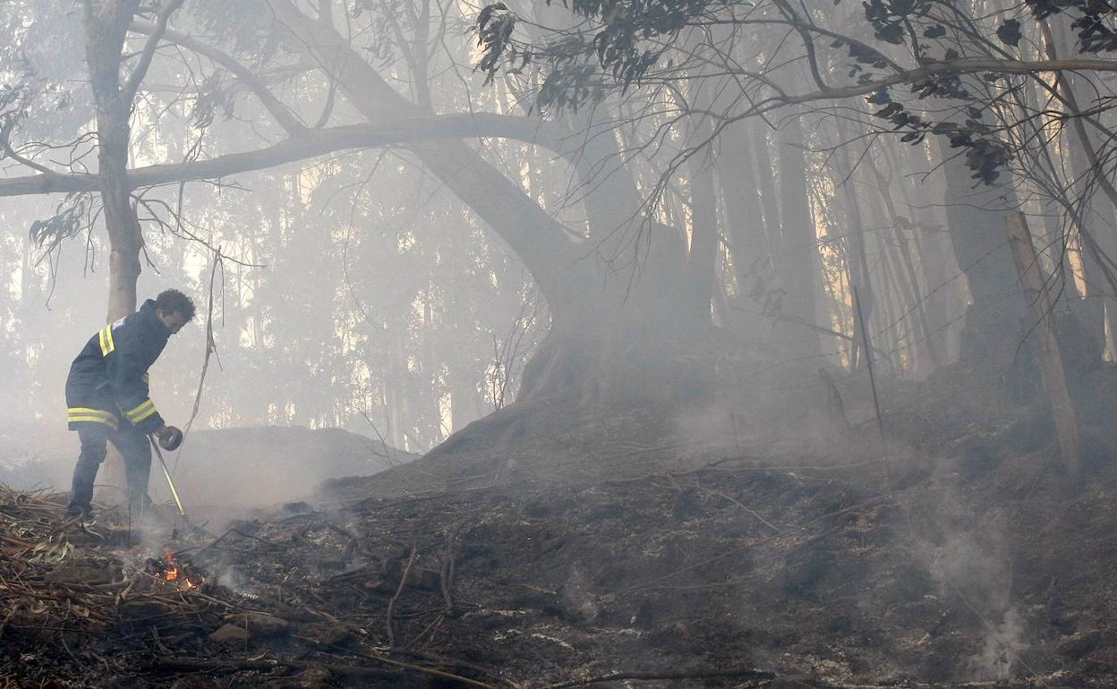 Ejecutadas el 92%de las acciones previstas en el Plan de Protección Civil pese a la pandemia
