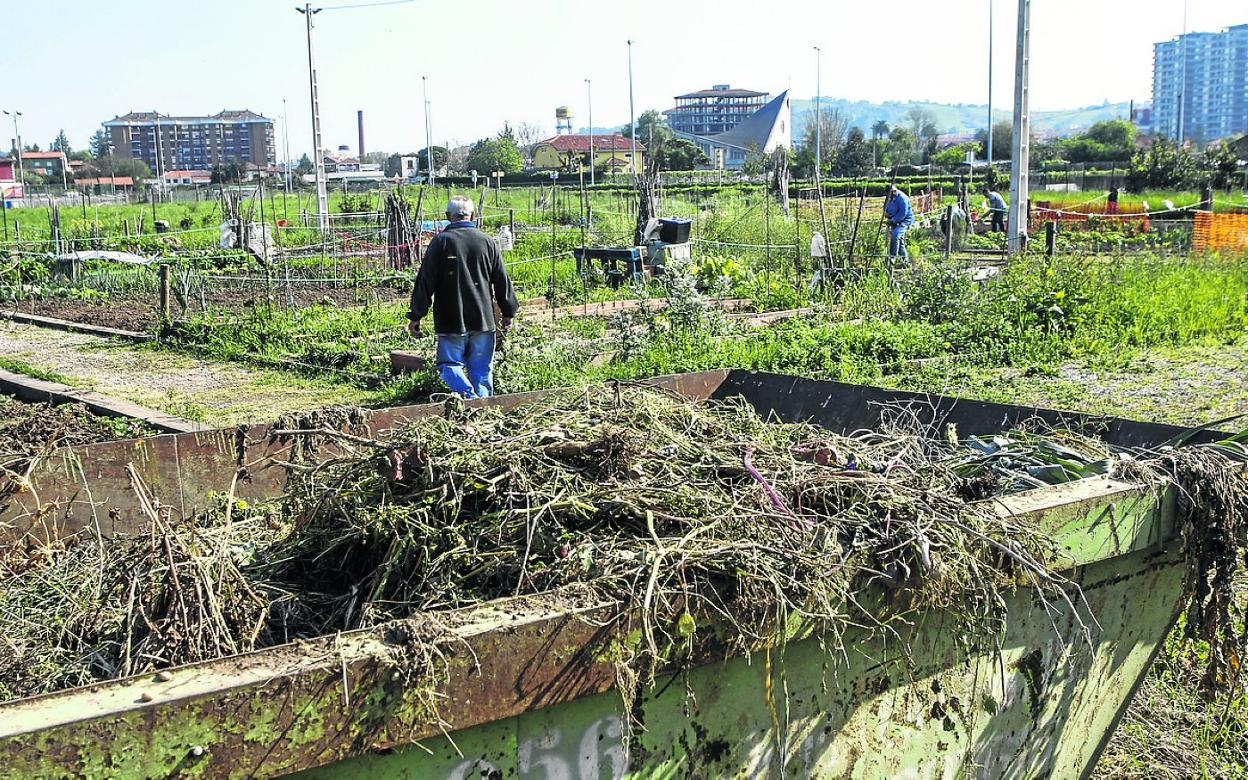 Contenedores llenos de restos sin vaciar en el interior de los huertos de Mies de Vega. 