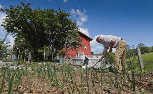 En el huerto donde cultivan verduras.