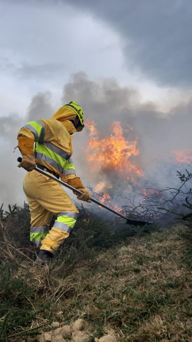 Imagen - Un miembro de una cuadrilla forestal trata de detener las llamas en Lamasón