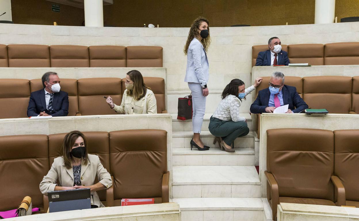 La consejera Ana Belén Álvarez, en primer plano, junto a diputados socialistas y regionalistas durante el pleno. 