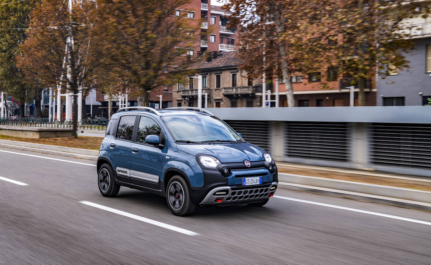 Fotos: Fotogalería: Fiat panda, un cuarentón a la última