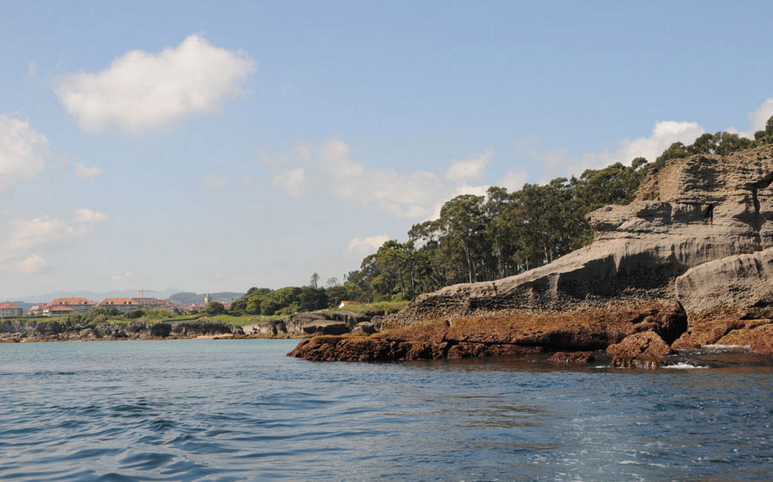 La Punta de la Mesa es uno de los mejores ejemplos existentes en la costa del Cantábrico de un campo de dunas colgantes sobre el acantilado. A finales de 2019 esta zona de la villa fue restaurada con un importante proyecto medioambiental promovido por el Ayuntamiento de Noja y SEO/BirdLife, con la colaboración del Gobierno de Cantabria.