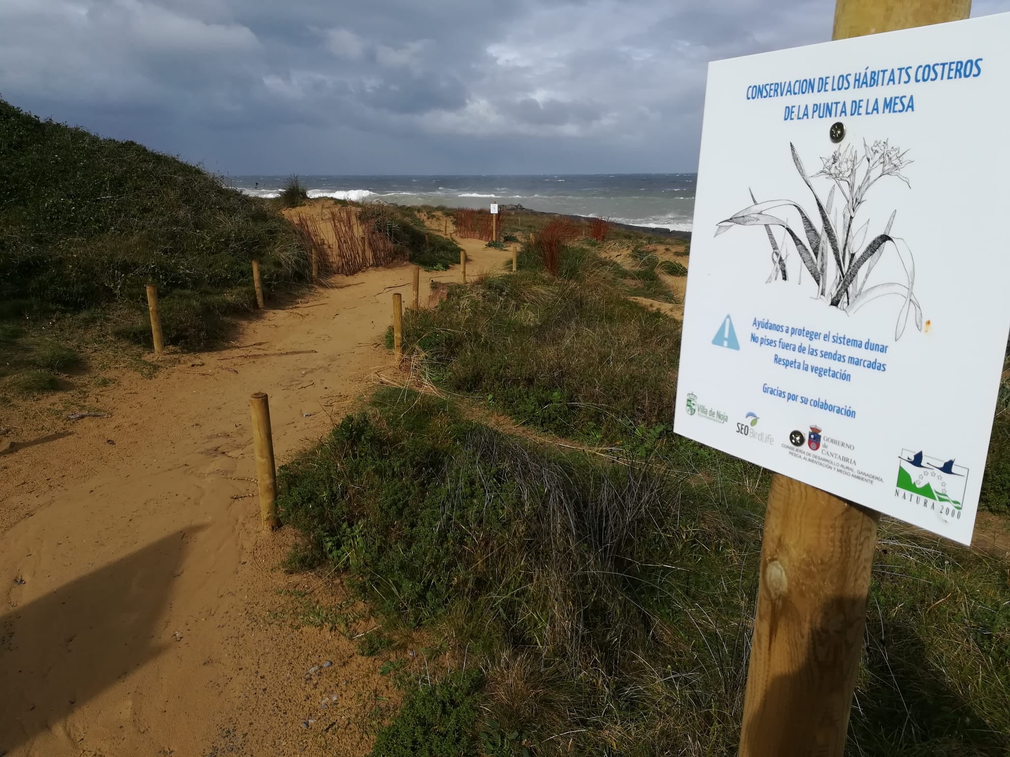 Noja dispone de una amplia infraestructura de uso público para recibir ecoturistas. Desde 2012 se han señalizado seis itinerarios ornitológicos que cubren la totalidad de los hábitats más representativos de la villa (dunas, acantilados, marisma y monte). Además, se ha editado una completa una miniguía de las aves de los espacios naturales de Noja.