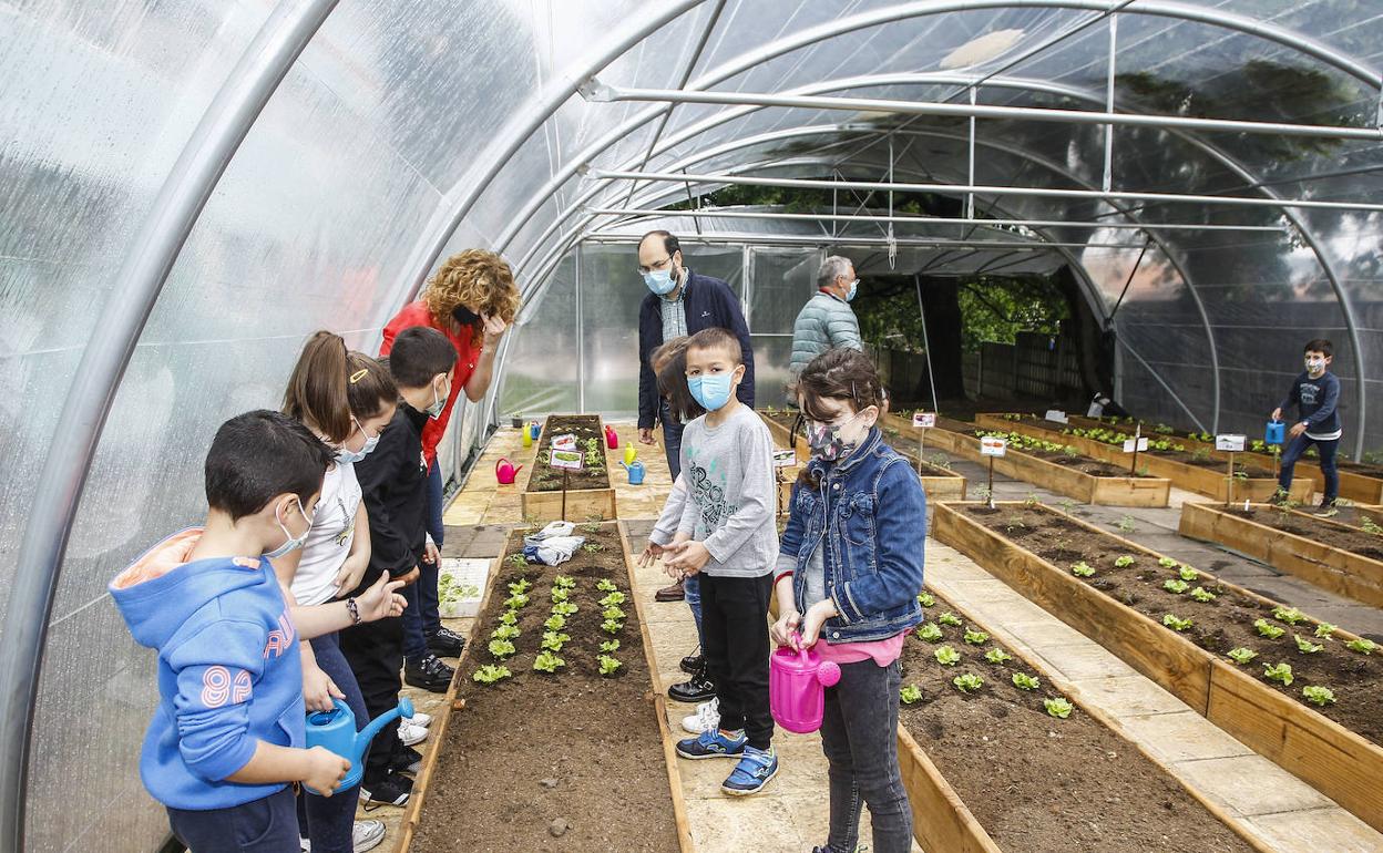 El colegio de Tanos pone en marcha un huerto en un invernadero