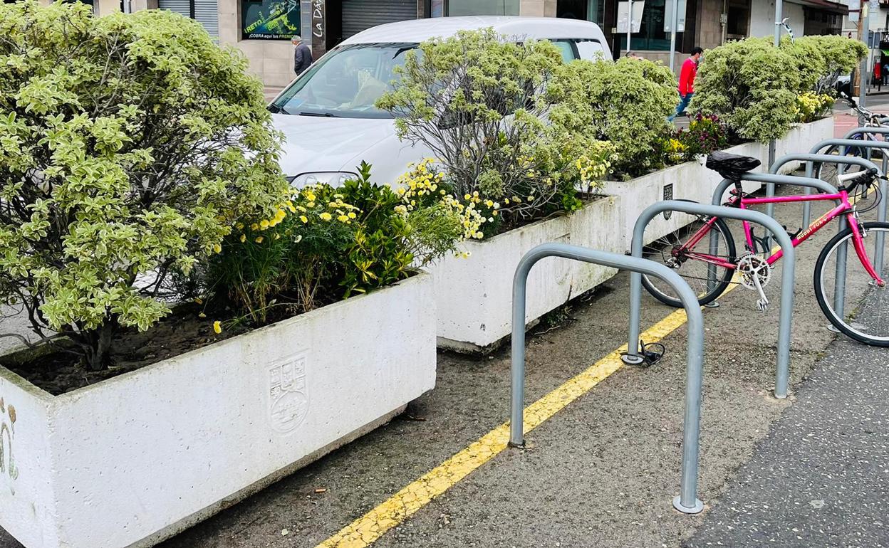 Arbustos y flores en el centro de la ciudad de Castro Urdiales.