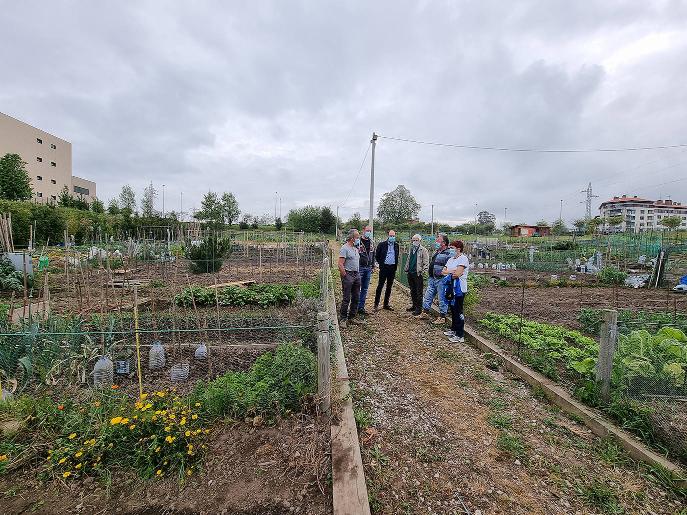 Torrelavega pinta las casetas de los huertos urbanos y habilita una nueva entrada