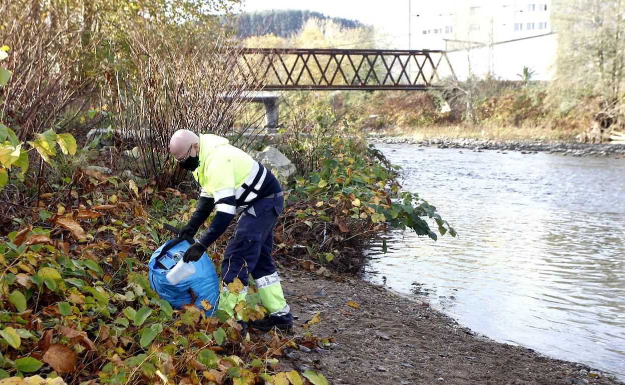 Un operario desarrolla labores de limpieza en el río Saja.