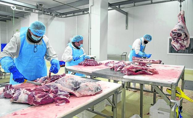 Trabajo meticuloso en la sala despiece. Cada mes pasan por aquí unos 170.000 kilos de carne.