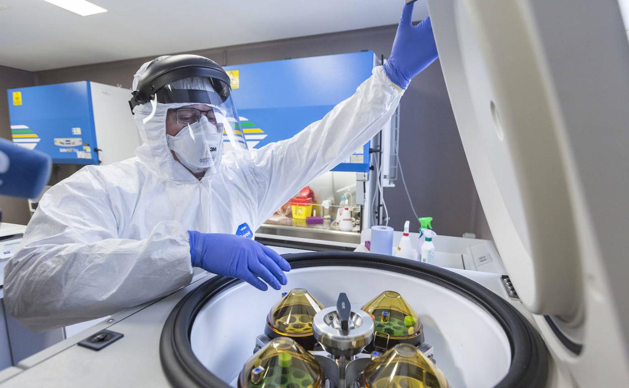 El investigador Félix Javier Sangari García, del Instituto de Biomedicina y Biotecnología (Ibbtec), en el laboratorio de contención biológica. 